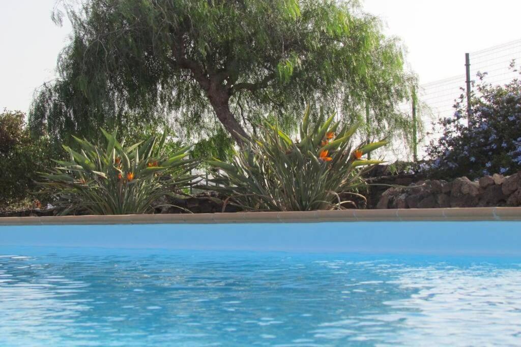Heated & Shared Pool Villa Matriana 36B, North Shore Villas ลาโอลีวา ภายนอก รูปภาพ